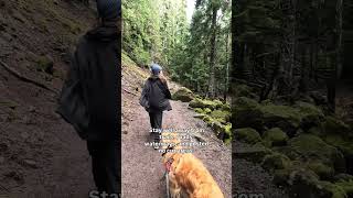 $5 Christmas Tree Permit Mount Hood National Forest