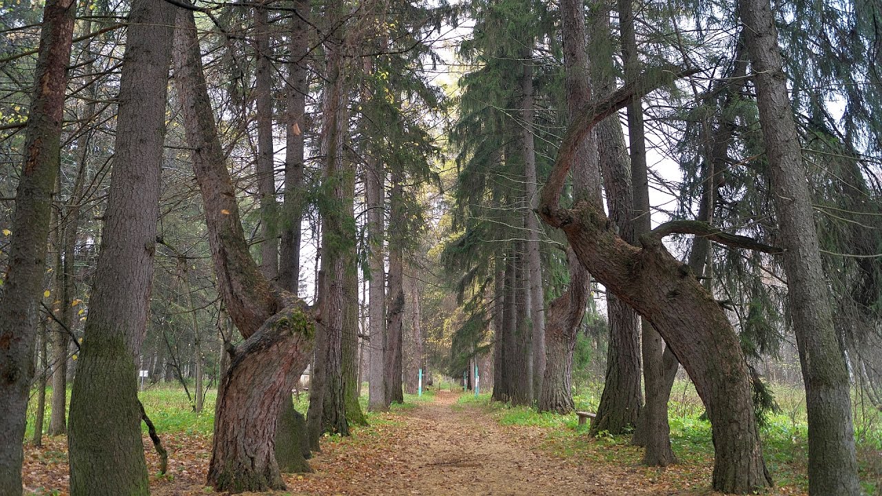 Фото Барышского Района