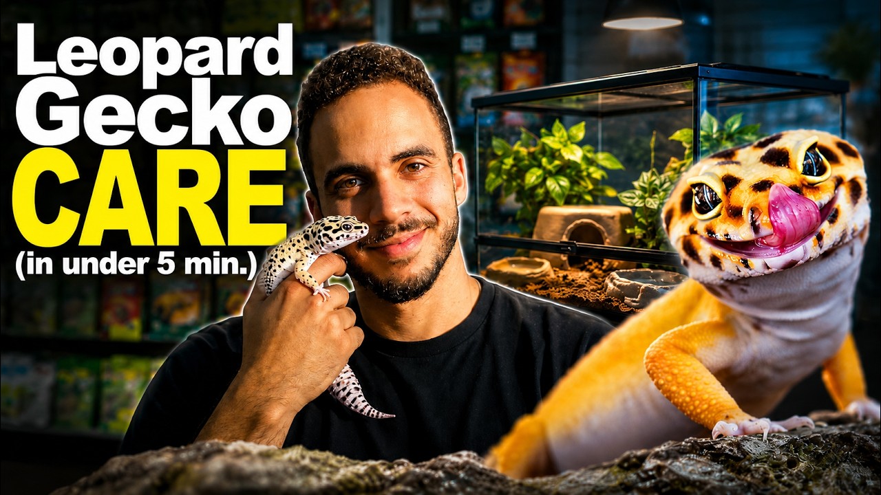 Complete Leopard Gecko Care Guide!