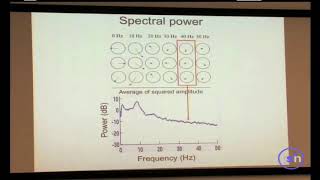 Time-Frequency Decomposition In Eeglab - See Newer Videos In Description