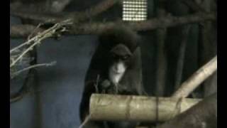 Theresa And Sharon Go To The Calgary  Zoo Part 2