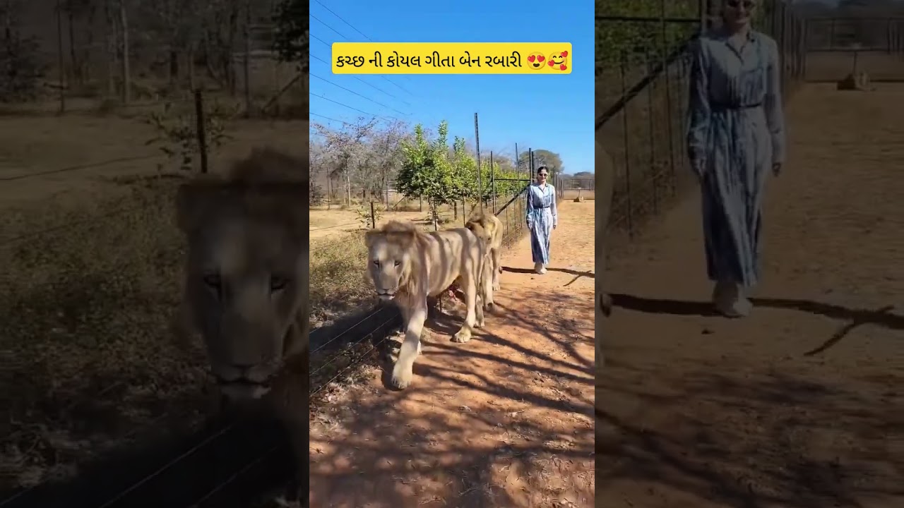 ગીતા બેન રબારી ની મોજ #ytshorts #shorts #dance #gujarati #singer #viralshorts #viralshort #trending