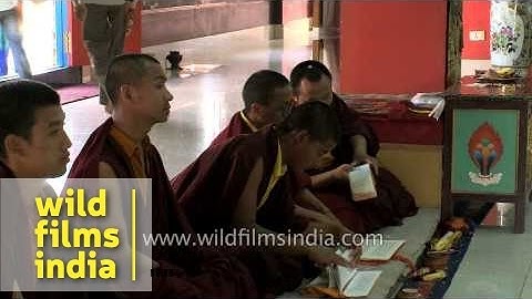 Monks of Mindrolling Monastery gather for evening prayer