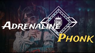 𝑨𝑫𝑹𝑬𝑵𝑨𝑳𝑰𝑵𝑬 𝑨𝑮𝑮𝑹𝑬𝑺𝑺𝑰𝑽𝑬 𝑷𝑯𝑶𝑵𝑲 𝑵𝑶𝑪𝑶𝑷𝒀𝑹𝑰𝑮𝑯𝑻 𝑴𝑼𝑺𝑰𝑪 2025