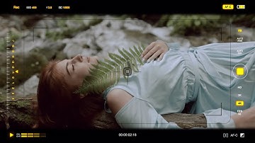 Camera Viewfinder HUD: Premiere Pro Effect