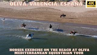 Oliva Mediterranean Equestrian Tour 🐎 Horses train on the beach at dawn 🌊 4k Drone Footage screenshot 4
