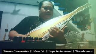 Cover Tender Surrender by Steve Vai with Sape Instrument | THAMBUNESIA