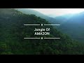 Most Dangerous Animals Of Amazon Rainforest…