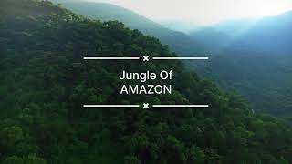 Most Dangerous Animals Of Amazon Rainforest…