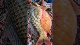 Amazing Cutting Skills Big Fish Cleaning & Cutting by Expert Fish Cutter