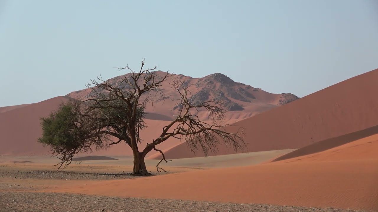 Birding Namibia August 2023 : part one