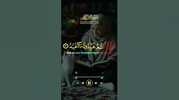 ايات قرانيه: قل يا أيها الكافرون لا أعبد ما تعبدو#تلاوة_خاشعة #اكسبلور #القرآن_الكريم #دويتو #المصحف
