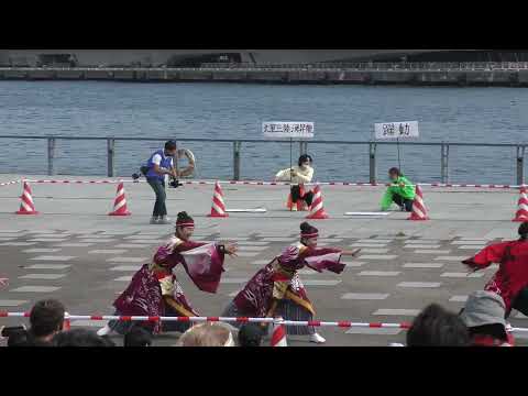 躍動　横浜よさこい祭り２０２２「ソーラン合戦」