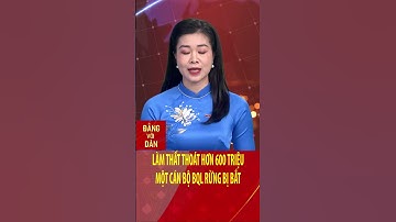 Làm thất thoát hơn 600 triệu, một cán bộ Ban Quản lý rừng bị bắt | Đảng với Dân