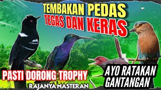 Download lagu MASTERAN SPESIAL LEDAKAN 2024 KOMPILOASI MEWAH UNTUK SEMUA JENIS BURUNG MURAI BATU DAN CUCAK IJO !!