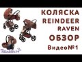 Видео с детскими колясками Reindeer Raven