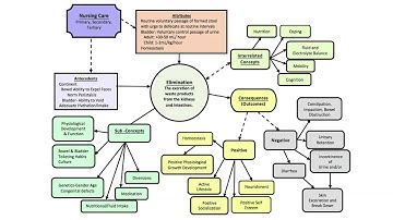 Concept Analysis Diagram Part 2