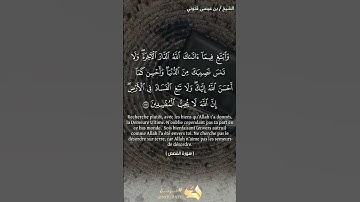 سورة القصص القارئ الشيخ / بن عيسى قنوني