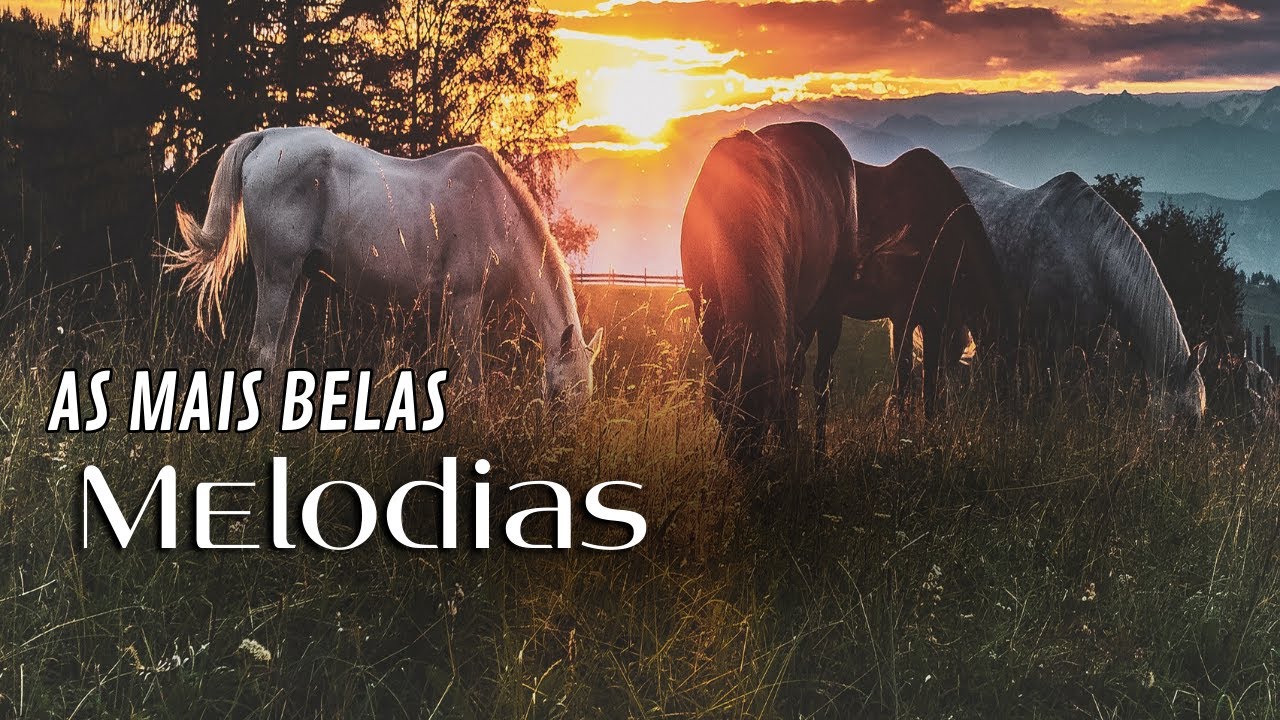 在 YouTube 上觀看「As mais BELAS MELODIAS para você」 在 YouTube 上觀看「As mais BELAS MELODIAS para você」