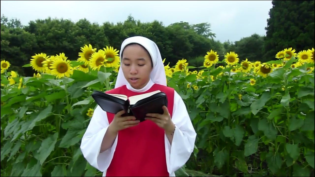 Chúa Nhật XXIV Thường Niên C - youtube