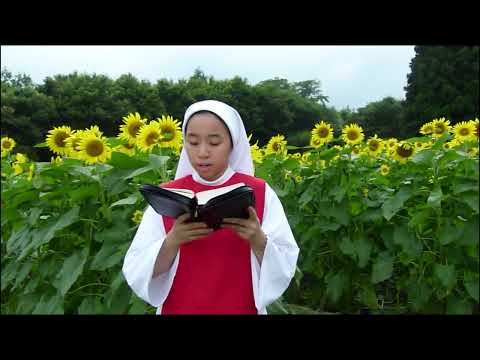 Video Chúa Nhật XXIV Thường Niên C - youtube