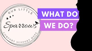 What Does Our Little Sparrows Do? Podcast Ep62