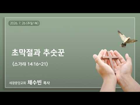 2026.7.26(주일1부) 초막절과 추숫꾼 - 채수빈 목사