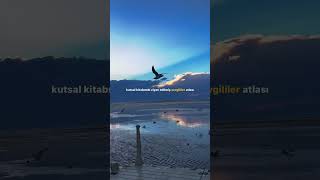 Ben Giderken En Çok Seni Ürdüm