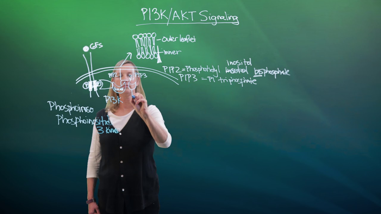 Video Placeholder Image