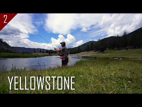 Fly Fishing Yellowstone Nat'l Park