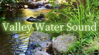 Valley Water Sounds | White Noise Stream for sleep, study, focus or relax | 3 Hours