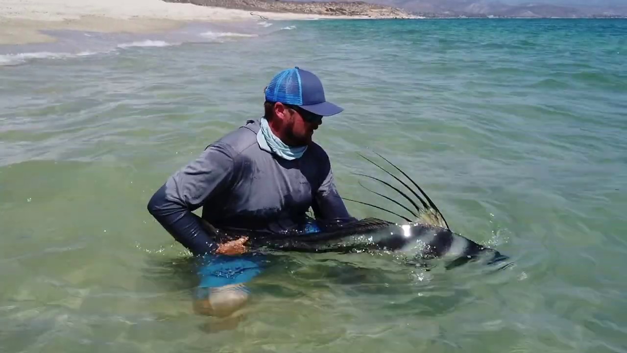 Fly Fishing for Roosterfish YouTube