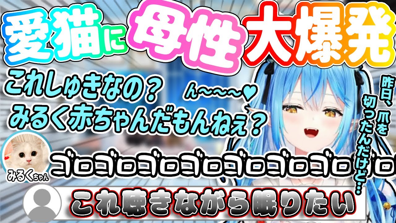 愛猫みるくちゃんの爪をシュールに切った話と可愛すぎて母性が溢れ出す雪花ラミィ【ホロライブ/切り抜き/雪花ラミィ】