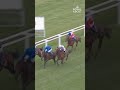 FRANKIE DETTORI: Countdown 2️⃣ #RoyalAscot with PALACE PIER | #Shorts