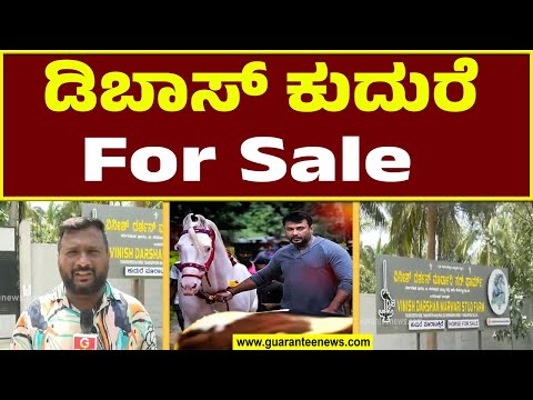ವಿನೀಶ್ ದರ್ಶನ್ ಫಾರ್ಮ್ ಹೌಸ್ ನಲ್ಲಿ ಇರುವ ಡಿಬಾಸ್ ಕುದುರೆಗಳನ್ನ ಮಾರಾಟಕ್ಕೆ ಇಟ್ಟಿದ್ದಾರೆ ವಿಜಯಲಕ್ಷ್ಮಿ
