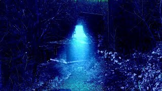 The Forest Dark Video Installment No3 An Ancient Sub-Sonic Rhythm