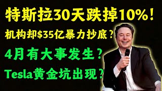 Tesla 30天跌掉10%！但 35 亿美金却在暗池疯抢？ 为什么散户在跑，华尔街在买？谁在撒谎！#美股分析 #马斯克 #特斯拉 