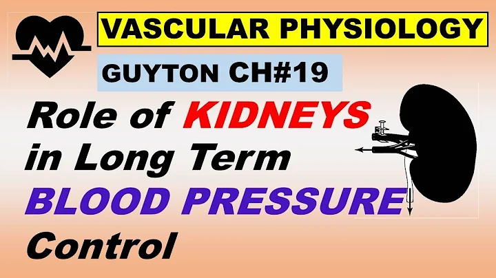 Ch#19 Physiology Guyton | Role of Kidneys in Long Term Control of Arterial Pressure | RAAS