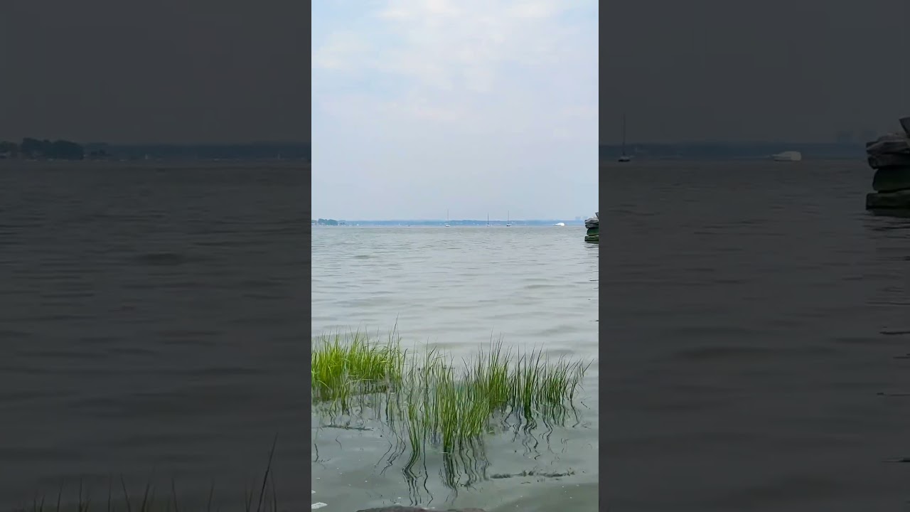 New York City Best Places || 