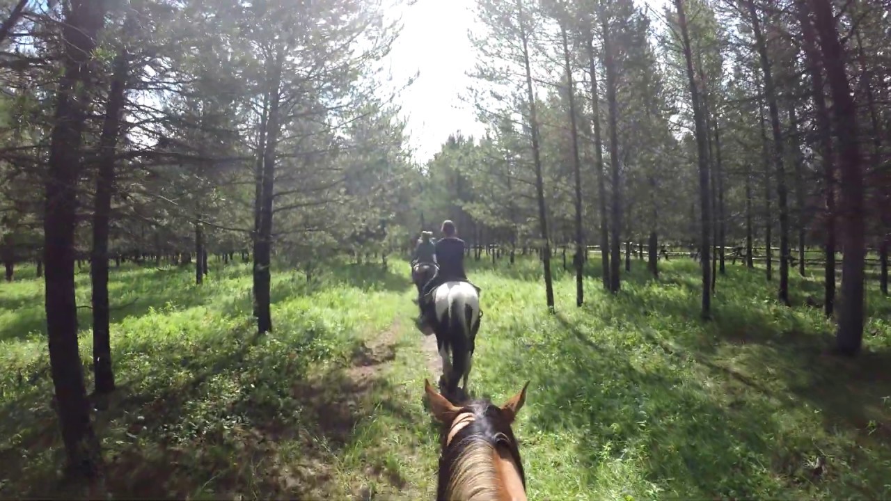 Eagle Ridge Ranch West Yellowstone Horseback Ride Part 1 of 6 YouTube