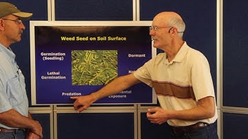 Fate of the Weed Seed in Conventional and NoTill Soils