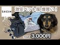 【SHEIN爆買い！】もうここでしかペット服買えません…