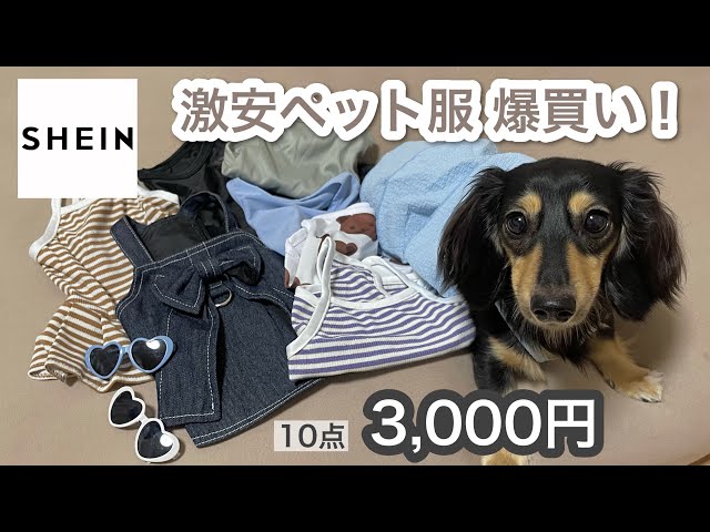SHEIN shopping spree!] This is the only place you can buy