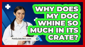Why Does My Dog Whine So Much In Its Crate? - PetGuide360.com