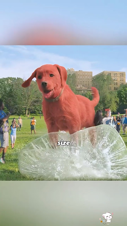 This puppy grew bigger than a car overnight!🐶🐾#shorts #movie #video