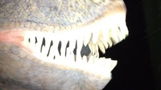 Jurassic Park IV: The Found Footage Horror Film - Goldentusk