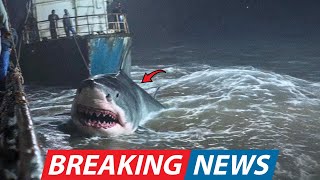 Japanese Fishermen Encountered Terrifying Unknown Shark And Experts Said It Was Not A Great White!