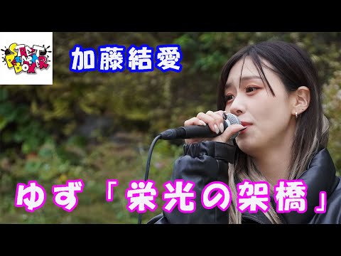 【歌ってみた】ゆず「栄光の架橋」cover 加藤結愛 横浜マリンタワー StreetPerformerBox