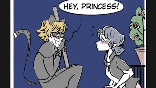 🐞Miraculous Comics"Hey Princess" 🐞 ladybug Catnoir"🐞🔥🐞