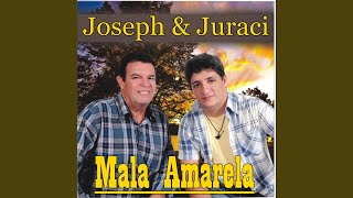 Mala Amarela